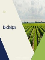 slide thuyết trình báo cáo dự án trồng 2 loại cây khác nhau  làm phân bón từ rác nhà bếp  