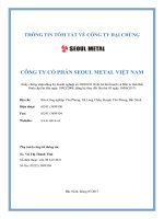 THÔNG TIN TÓM TẮT VỀ CÔNG TY ĐẠI CHÚNG CÔNG TY CỔ PHẦN SEOUL METAL VIỆT NAM