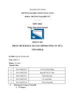 Phân tích báo cáo tài chính công ty sữa vinamilk 