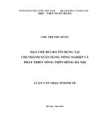 115 hạn CHẾ rủi RO tín DỤNG tại CHI NHÁNH NGÂN HÀNG NÔNG NGHIỆP và PHÁT TRIỂN NÔNG THÔN ĐÔNG đô hà NỘI,LUẬN văn THẠC sĩ KINH tế