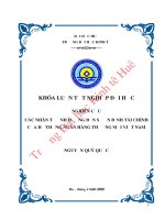 (LUẬN văn THẠC sĩ) các nhân tố ảnh hưởng đến sự ổn định tài chính của hệ thống ngân hàng thương mại việt nam 