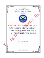(LUẬN văn THẠC sĩ) phân tích báo cáo tài chính tại công ty trách nhiệm hữu hạn một thành viên vinh quang 