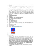 TIỂU LUẬN bảo hiểm hàng hóa tổng công ty bảo hiểm PVI 