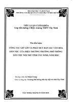 (tiểu luận cán bộ quản lý giáo dục) công tác giữ gìn và phát huy bản sắc văn hóa dân tộc của hiệu trưởng trường ptdtnt tỉnh tây ninh 