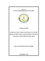 Đánh giá chất lượng cuộc sống của người bệnh sau phẫu thuật chấn thương cột sống cổ thấp có tổn thương thần kinh 