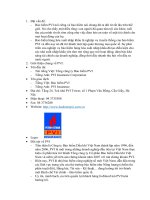 TIỂU LUẬN bảo hiểm hàng hóa tổng công ty bảo hiểm PVI 