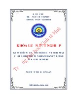 (LUẬN văn THẠC sĩ) kiểm soát nội bộ chu trình cấp bảo hiểm xe cơ giới (oto) thu tiền khách hàng tại công ty bảo hiểm pvi huế 
