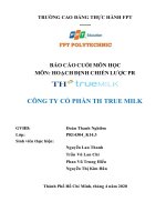 Hoạch định chiến lược pr cho th true milk 
