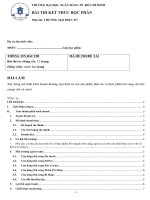 tiểu luận xây dựng mô hình kinh doanh thương mại điện tử của sản phẩm thức ăn và thực phẩm bổ sung cho thú cưng( chó và mèo) 