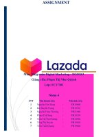 Phân tích hoạt động digital marketing của lazada 