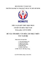 TIỂU LUẬN kết THÚC học PHẦN cơ sở văn hóa VIỆT NAM đề tài tìm HIỂU văn hóa ẩm THỰC MIỀN tây NAM bộ 