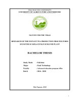 (LUẬN văn THẠC sĩ) research of the instant tea production process from myxopyrum smilacifolium blume plant 