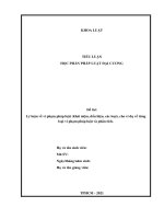 Tiểu luận pháp luật đại cương : Lý luận về vi phạm pháp luật và ví dụ về từng loại vi phạm pháp luật