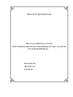 Phân tích môi trường Marketing của Công ty Acecook Việt Nam trong tình hình hiện nay