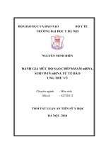 (LUẬN văn THẠC sĩ) đánh giá mức độ sao chép hMAM mRNA, survivin mRNA từ tế bào ung thư vú 