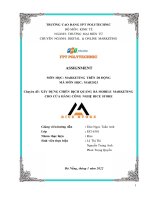 Xây dựng chiến dịch quảng bá mobile marketing cho cửa hàng công nghệ rice store 