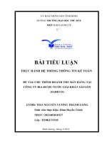 TIỂU LUẬN THỰC HÀNH hệ THỐNG THÔNG TIN kế TOÁN đề tài CHU TRÌNH DOANH THU bán HÀNG tại CÔNG TY BIA rượu nước GIẢI KHÁT sài gòn (SABECO) 