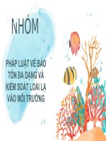 Slide thuyết trình pháp luật về bảo tồn đa dạng và kiểm soát loài lạ vào môi trường (luật môi trường)