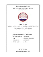 TIỂU LUẬN ĐỀ TÀI: TÂM LÝ HỌC XÃ HỘI ĐỐI VỚI ĐỜI SỐNG VÀ HOẠT ĐỘNG CỦA CON NGƯỜI