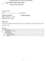 tiểu luận xây dựng mô hình kinh doanh thương mại điện tử của sản phẩm thức ăn và thực phẩm bổ sung cho thú cưng( chó và mèo) 