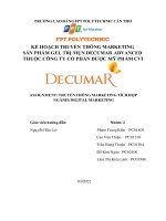 Kế hoạch truyền thông marketing sản phẩm gel trị mụn decumar advanced 