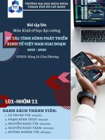 tiểu luận kinh tế lượng đề tài tình hình phát triển của kinh tế việt nam giai đoạn 2016 2020 