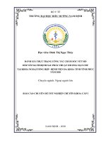 (LUẬN văn THẠC sĩ) đánh giá thực trạng công tác chăm sóc vết mổ đối với người bệnh sau phẫu thuật sỏi ống mật chủ tại khoa ngoại tổng hợp  bệnh viện đa khoa tỉnh vĩnh phúc năm 2020 
