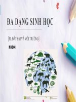 Slide thuyết trình về đa dạng sinh học (pháp luật môi trường)
