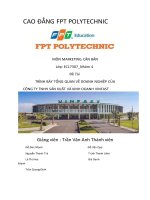 Trình bày tổng quan về doanh nghiệp vinfast 