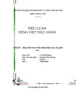 TIỂU LUẬN TIẾNG VIỆT THỰC HÀNH chủ đề  sống thử trước hôn nhân hiện nay của giới trẻ   