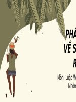 Slide thuyết trình pháp luật về sử dụng rừng (luật môi trường)