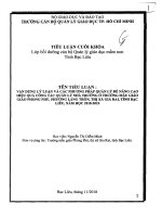 (tiểu luận cán bộ quản lý giáo dục) vận dụng lý luận và các phương pháp quản lý để nâng cao hiệu quả công tác quản lý nhà trường ở trường mẫu giáo phong phú 