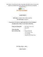 Xây dựng chiến dịch quảng bá mobile marketing cho cửa hàng sunset lipstick 