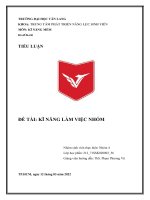 TIỂU LUẬN đề tài kĩ NĂNG làm VIỆC NHÓM tính tất yếu của sự hợp tác trong làm việc nhóm bốn yếu tố nền tảng của một nhóm làm việc