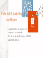 Chiến dịch E-marketing của Shopee
