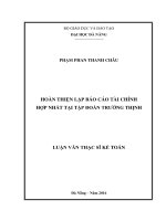 (luận văn thạc sĩ) hoàn thiện lập báo cáo tài chính hợp nhất tại tập đoàn trường thịnh 