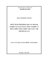 (luận văn thạc sĩ) phân tích tình hình cho vay doanh nghiệp tại ngân hàng nông nghiệp và phát triển nông thôn việt nam   chi nhánh gia lai 