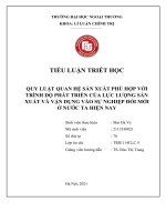 Quy luật quan hệ sản xuất phù hợp với trình độ phát triển của lực lượng sản xuất và vận dụng vào sự nghiệp đổi mới ở nước ta hiện nay