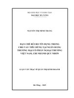 (luận văn thạc sĩ) hạn chế rủi ro tín dụng trong cho vay tiêu dùng tại ngân hàng TMCP ngoại thương việt nam, chi nhánh quy nhơn 