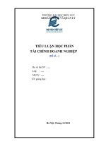 TIỂU LUẬN học PHẦN tài CHÍNH DOANH NGHIỆP tìm hiểu về công ty cổ phần thép nam kim 