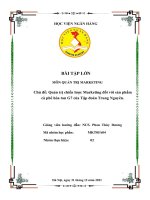 Bài tập lớn môn quản trị marketing, học viện ngân hàng (4) 
