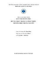 Thực trạng và phát triển thương hiệu trung nguyên