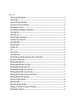 tiểu luận chủ đề cầu lông lịch sử cầu lông thế giới lợi ích của việc chơi cầu lông quy luật bay của cầu 