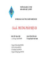 SENIMER báo cáo kỹ THUẬT KIỂM NGHIỆM dược chủ đề PHƯƠNG PHÁP điện DI 