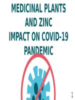 slide thuyết trình tiểu luận MEDICINAL PLANTS AND ZINC IMPACT ON COVID 19 PANDEMIC  VAI TRÒ của kẽm TRONG hệ MIỄN DỊCH 