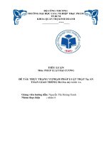 TIỂU LUẬN môn PHÁP LUẬT đại CƯƠNG đề tài THỰC TRẠNG VI PHẠM PHÁP LUẬT TRẬT tự AN TOÀN GIAO THÔNG ĐƯỜNG bộ nước TA 