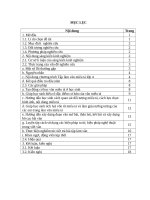 sáng kiến rèn kĩ năng viết văn miêu tả lớp 4