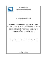(luận văn thạc sĩ) phân tích hoạt động cho vay hộ kinh doanh tại ngân hàng NNPTNT việt nam  chi nhánh krông bông tỉnh đăk lăk 