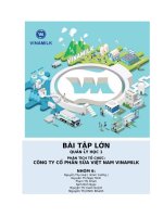 BÀI tập lớn QUẢN lý học 1 PHÂN TÍCH tổ CHỨC CÔNG TY cổ PHẦN sữa VIỆT NAM VINAMILK 