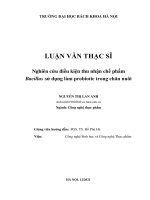 Nghiên cứu điều kiện thu nhận chế phẩm bacillus sử dụng làm probiotic trong chăn nuôi 